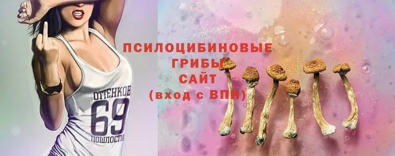 Галлюциногенные грибы Magic Shrooms Калязин